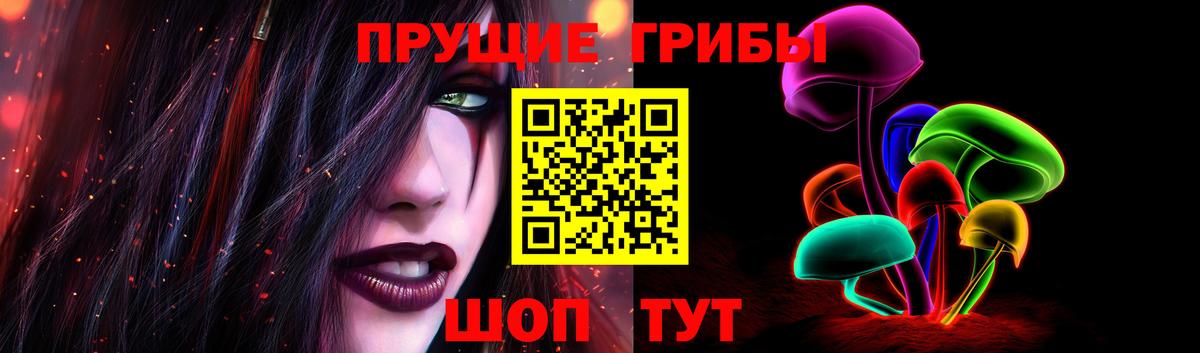 Вичуга  Галлюциногенные грибы прущие грибы  Вход с VPN  хочу наркоту  Псилоцибиновые грибы Magic Shrooms 